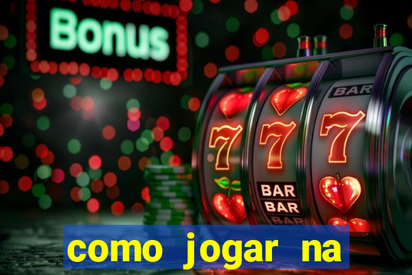 como jogar na seninha online
